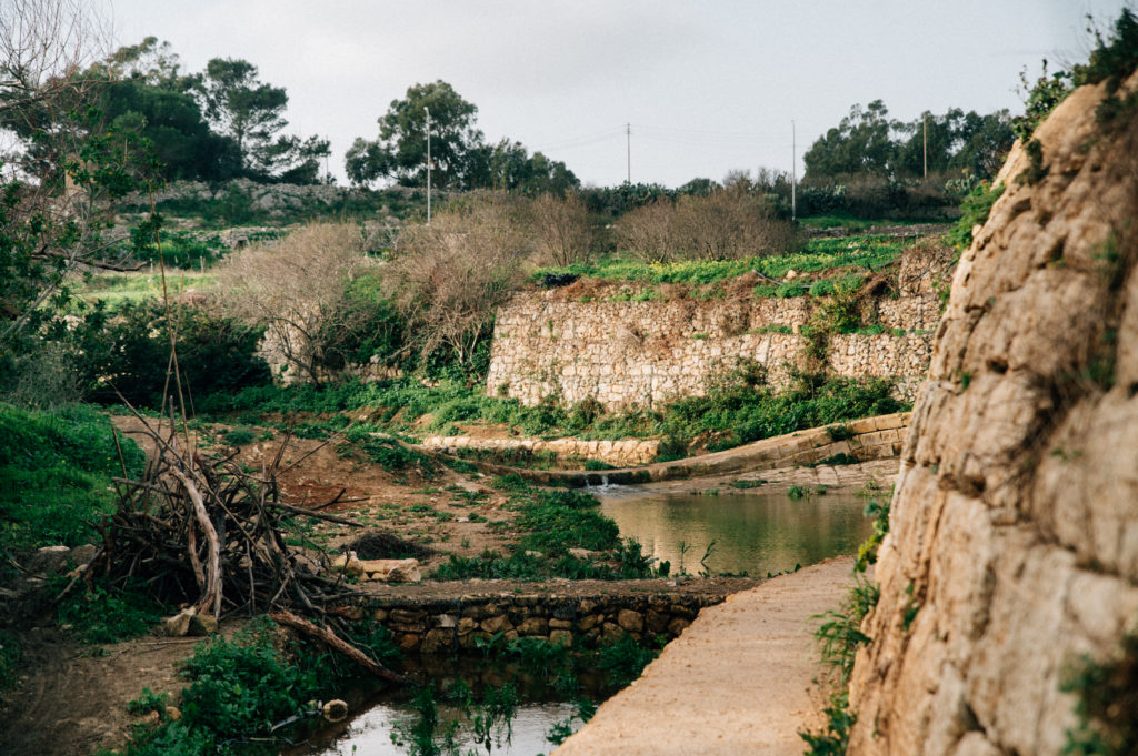 Chadwick Lakes Chadwick lakes trail regeneration